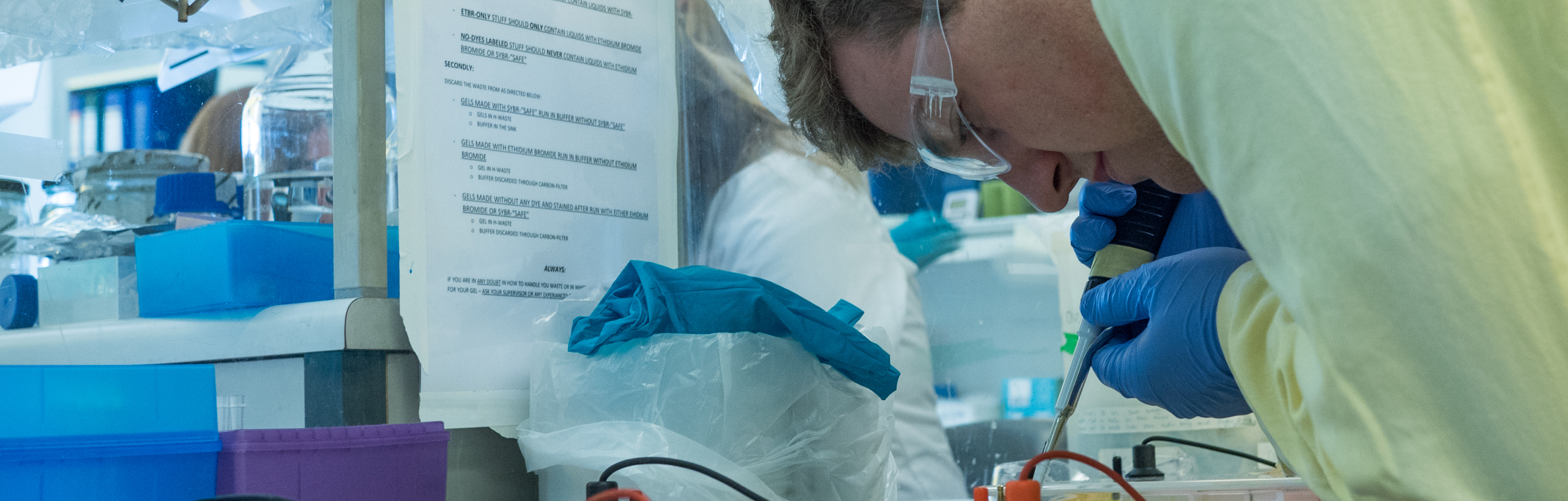 NSF International Research Experiences for Students